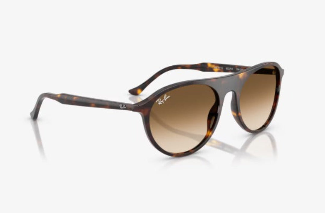 The RB2215F sunglasses