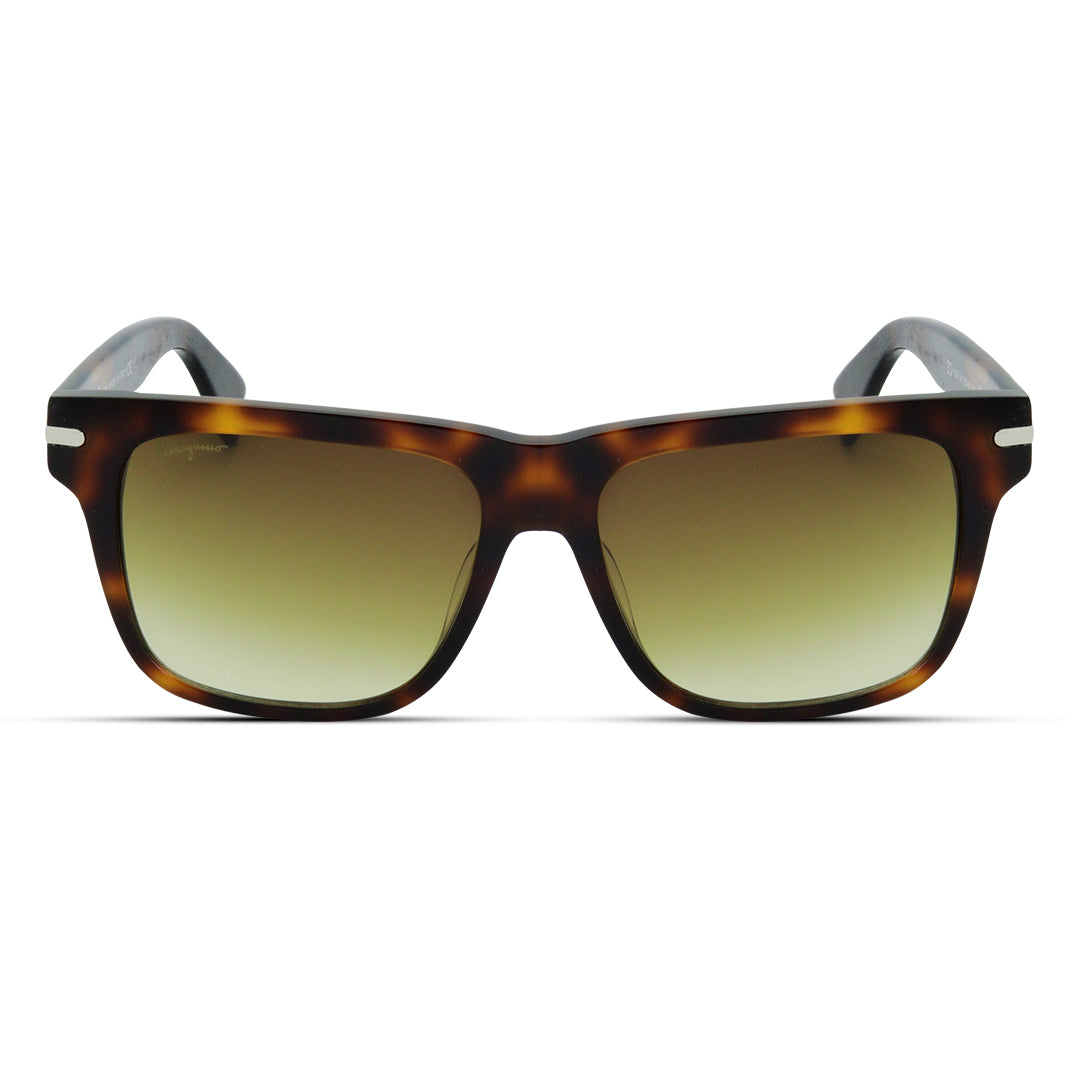 Wayfarer Acetate Large Unisex Sunglasses