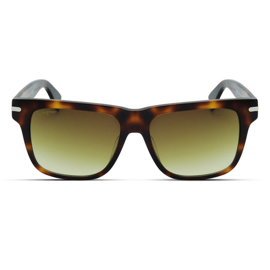 Wayfarer Acetate Large Unisex Sunglasses