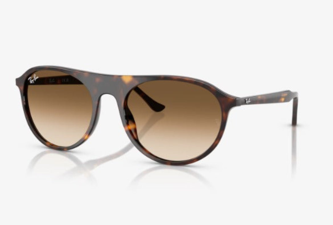 The RB2215F sunglasses