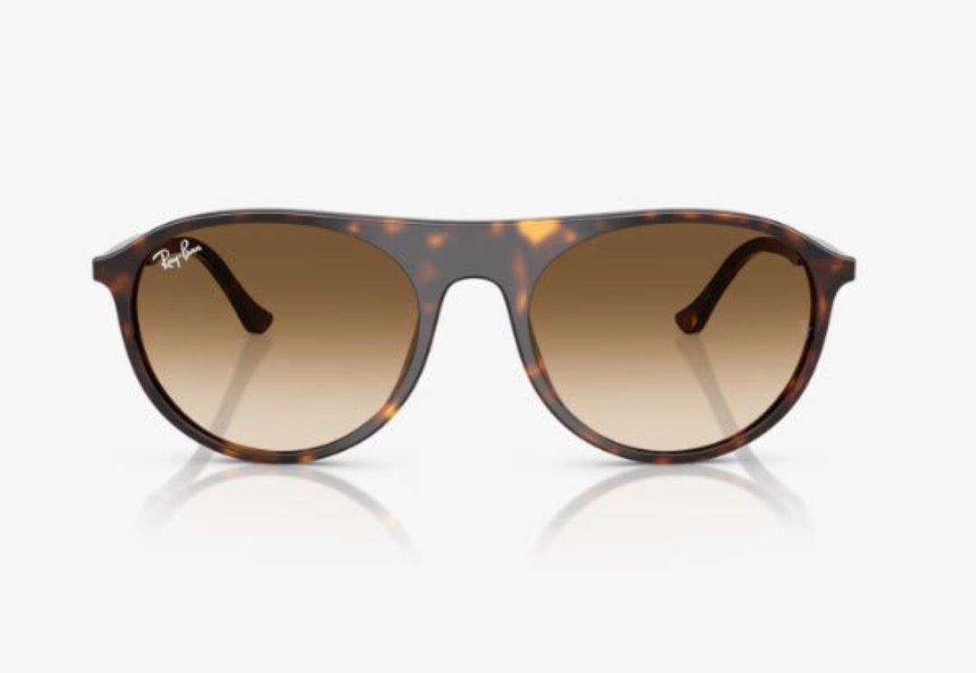 The RB2215F sunglasses