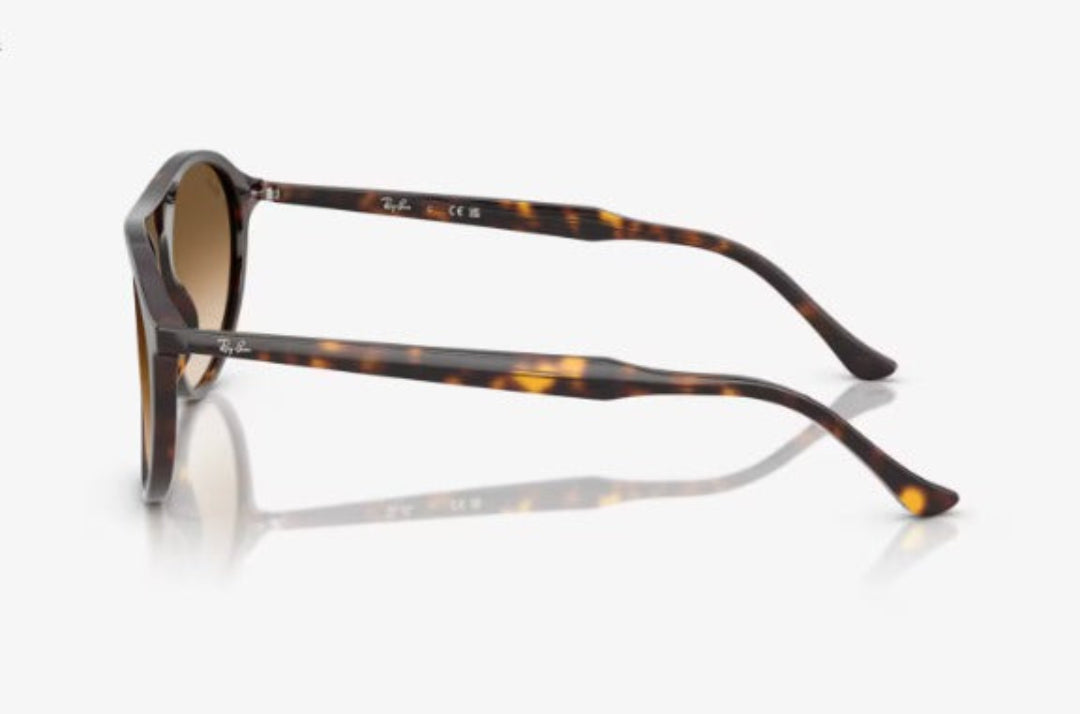 The RB2215F sunglasses