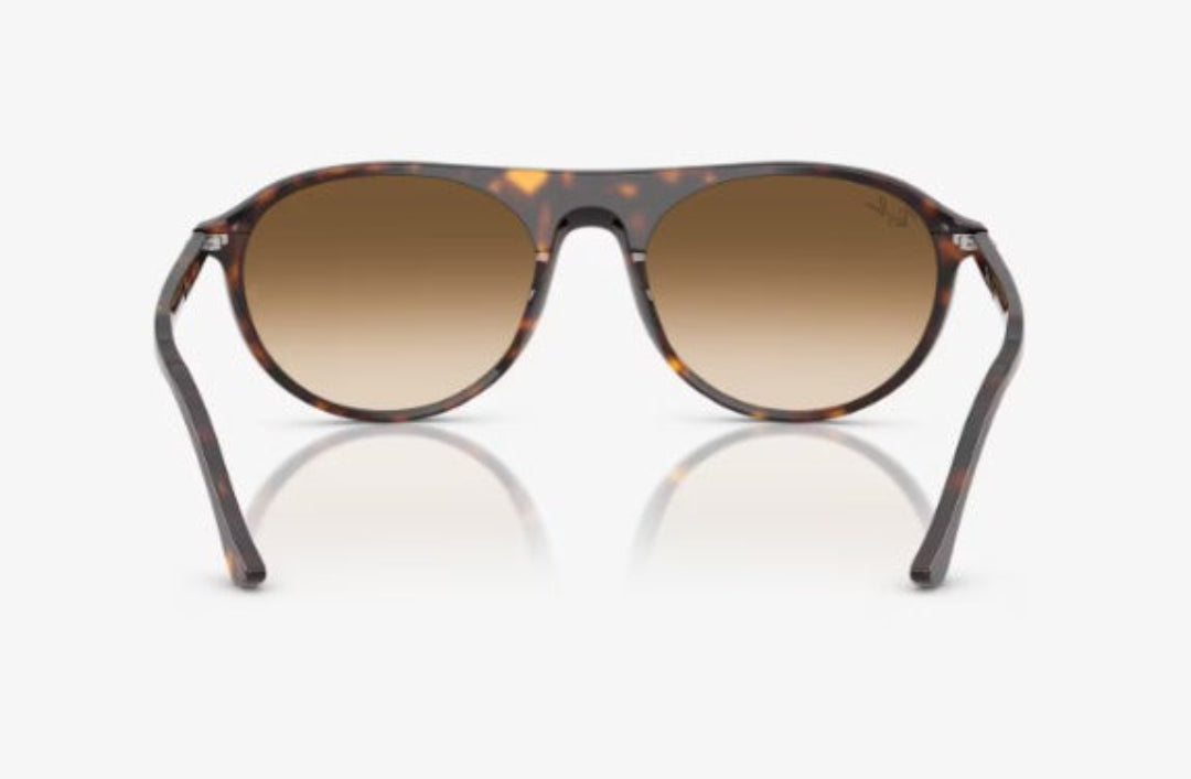 The RB2215F sunglasses