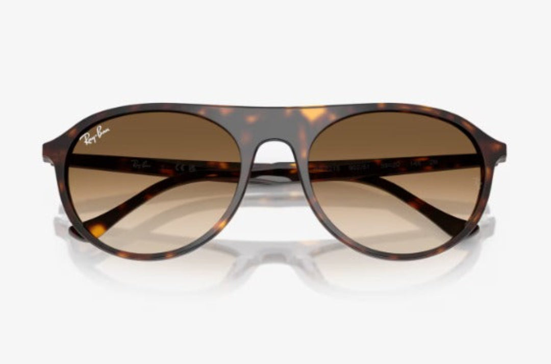 The RB2215F sunglasses